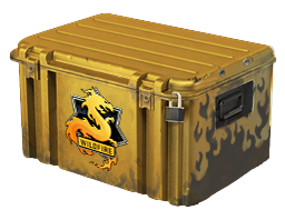 Operation Wildfire Case skin modal