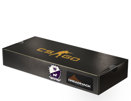 DreamHack 2014 Cobblestone Souvenir Package - visual modal