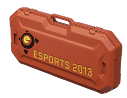 eSports 2013 Case