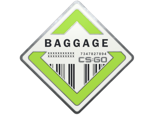 Genuine Baggage Pin skin modal