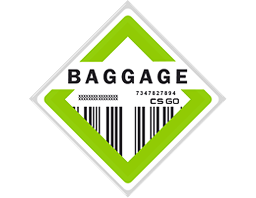 The Baggage Collection - visual modal