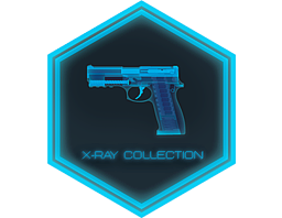 The X-Ray Collection - visual modal