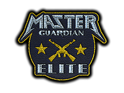 Patch | Metal Master Guardian Elite skin modal