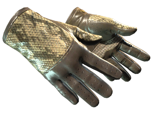 ★ Driver Gloves | Diamondback skin modal