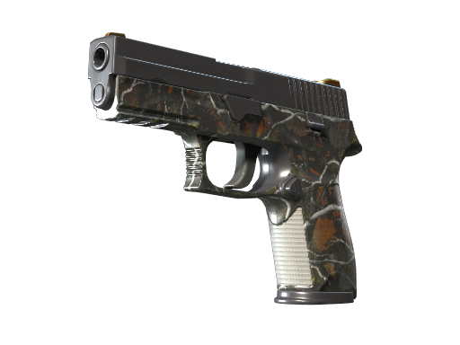 P250 | Small Game - skin modal