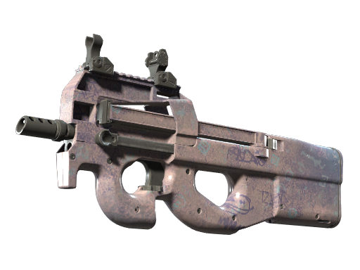 P90 | Wash me - skin modal