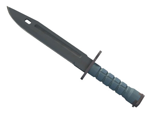 ★ Bayonet | Night - skin modal