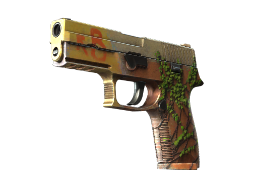 P250 | Inferno - skin modal