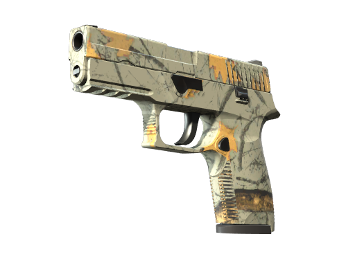 P250 | Modern Hunter - skin modal