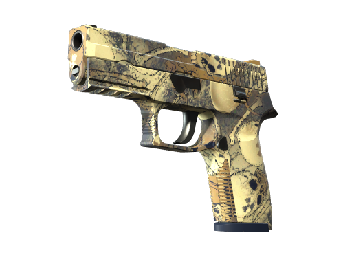 P250 | Contamination - skin modal