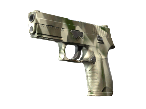 P250 | Bone Mask - skin modal